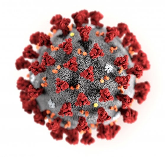 coronavirus covid 19 su sfondo bianco